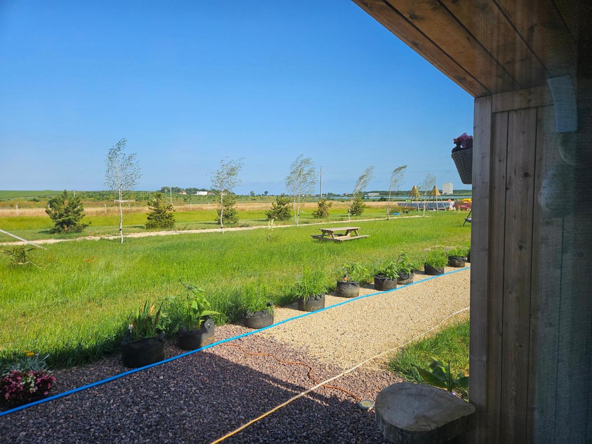 Mar A Lago Glamping23 Douăzeci şi Trei August 외부 사진