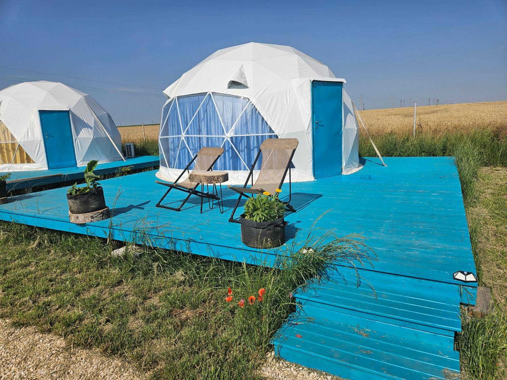 Mar A Lago Glamping23 Douăzeci şi Trei August 외부 사진