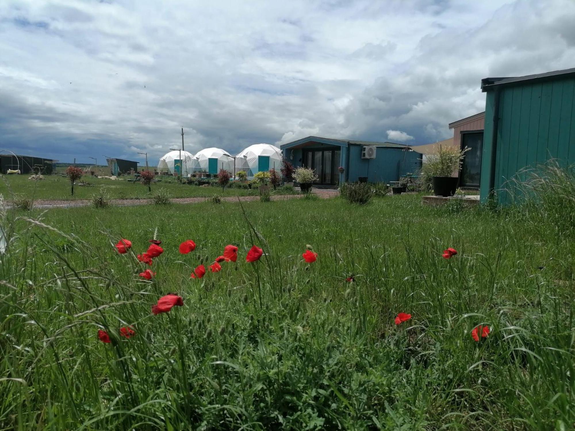 Mar A Lago Glamping23 Douăzeci şi Trei August 외부 사진